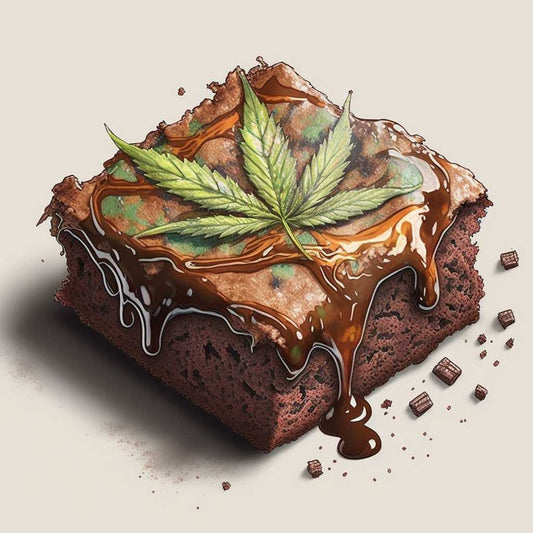 Recetas Express (Brownies Mágicos) Rumey 420