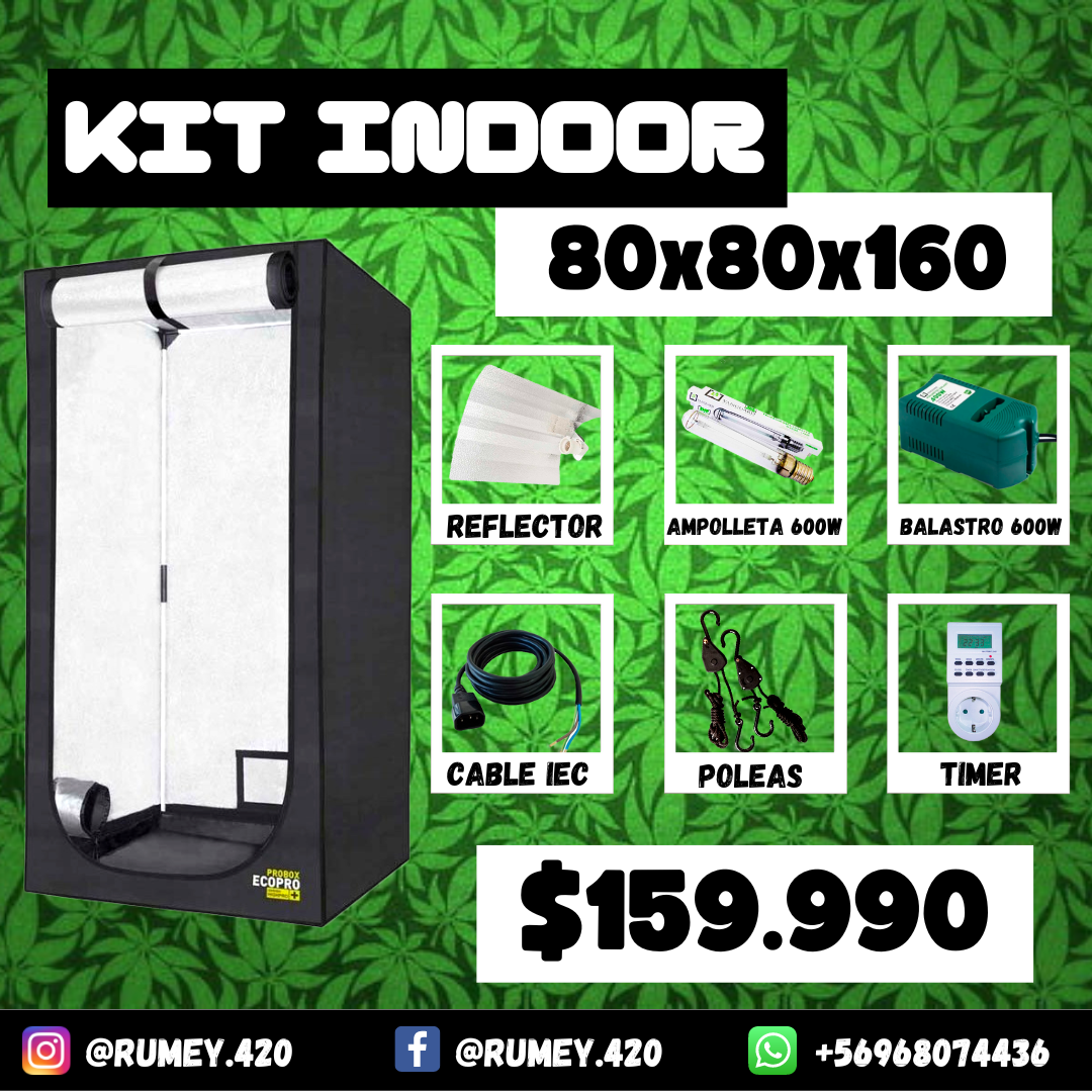 Kit Indoor Básico 80x80x160 250W