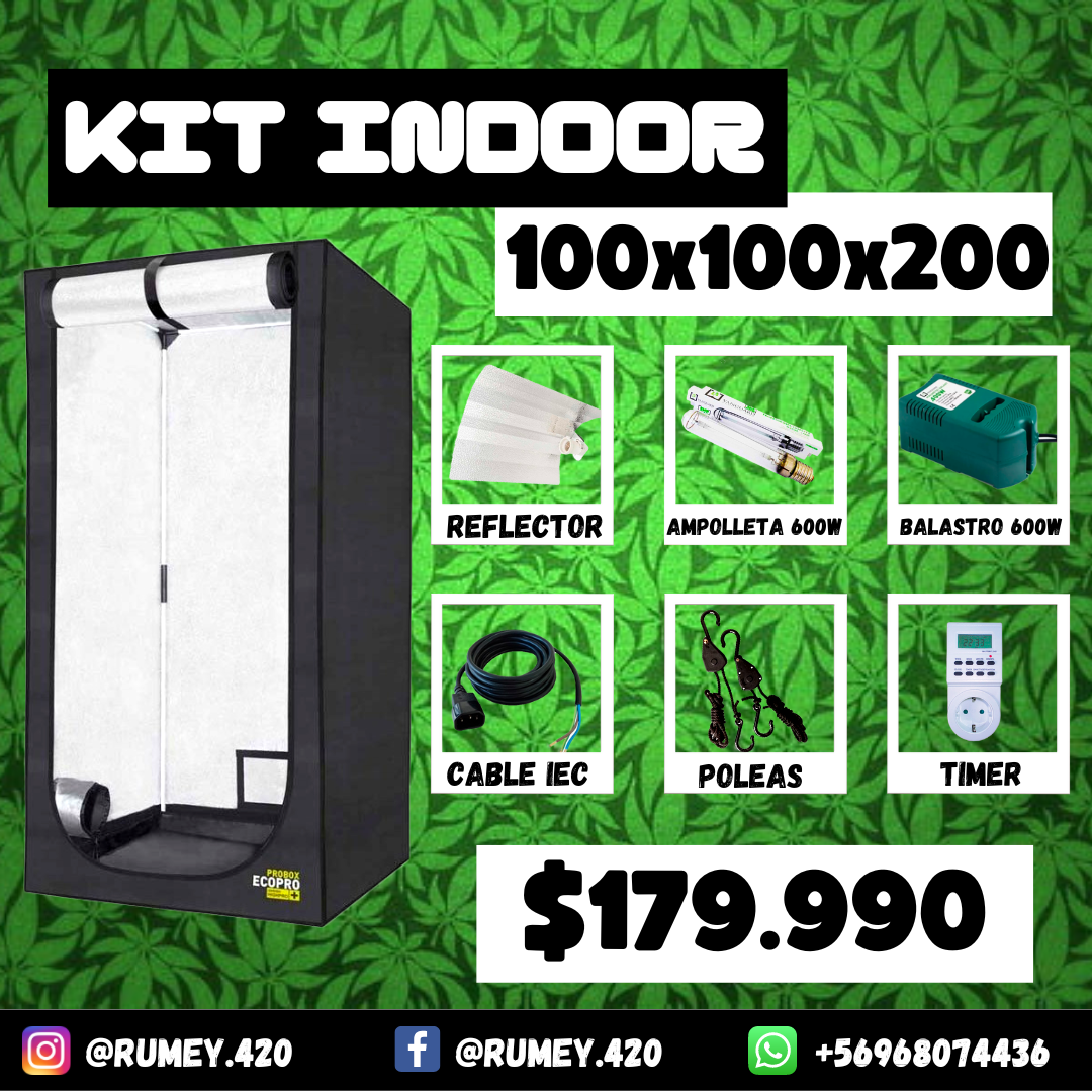 Kit Indoor Básico 100x100x200 400 W