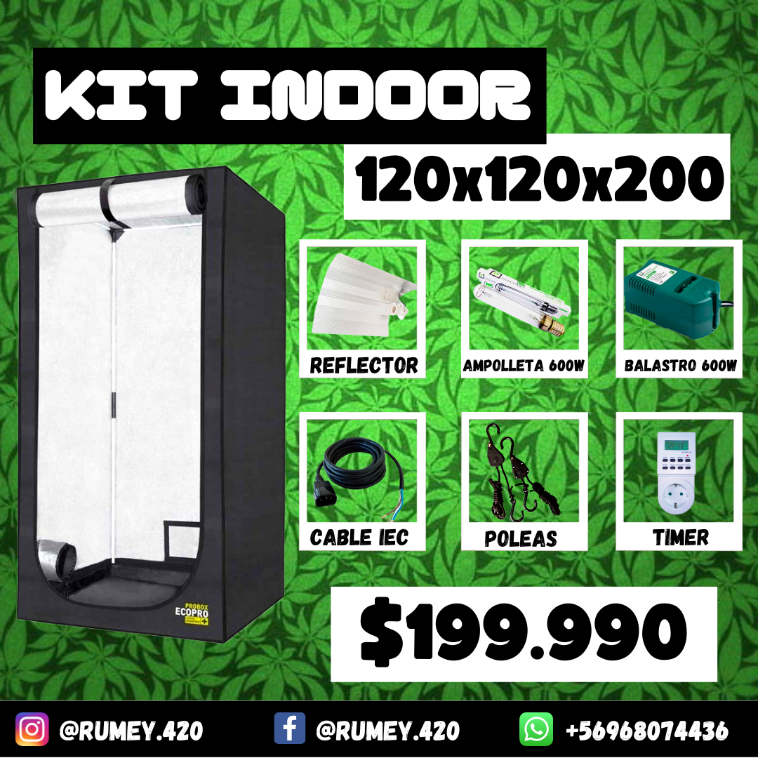 Kit Indoor Básico 120x120x200 600W