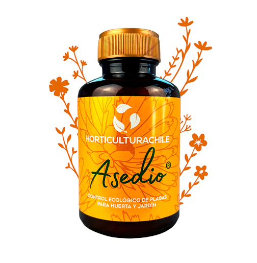 Asedio 280 ml