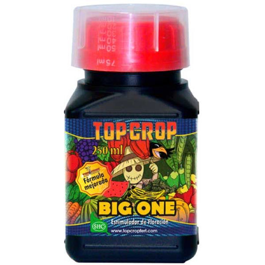 Big One 250ml Top Crop